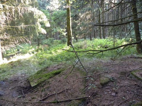 Foto 23